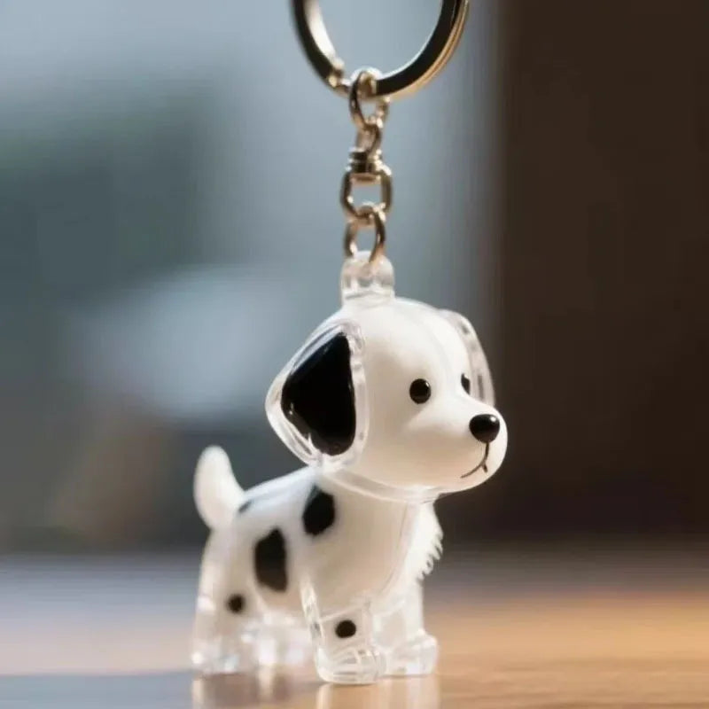 🐾Pet Hair Memorial Capsule Keychain