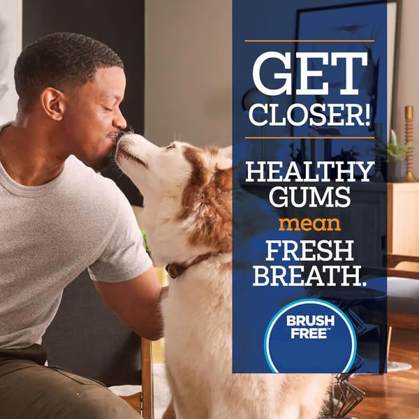 🐶Last Day 50% OFF - No-Brush Dog Dental Gel