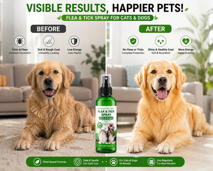 Petwag Flea & Tick Spray for Dogs & Cats – Natural Pet Protection Spray Against Fleas, Ticks & Mosquitoes, Safe Daily Care Formula (100ML)