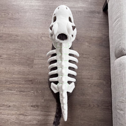 🦖 Halloween Season Sale 50% OFF– Glow-in-the-Dark Dinosaur Skeleton Pet Costume