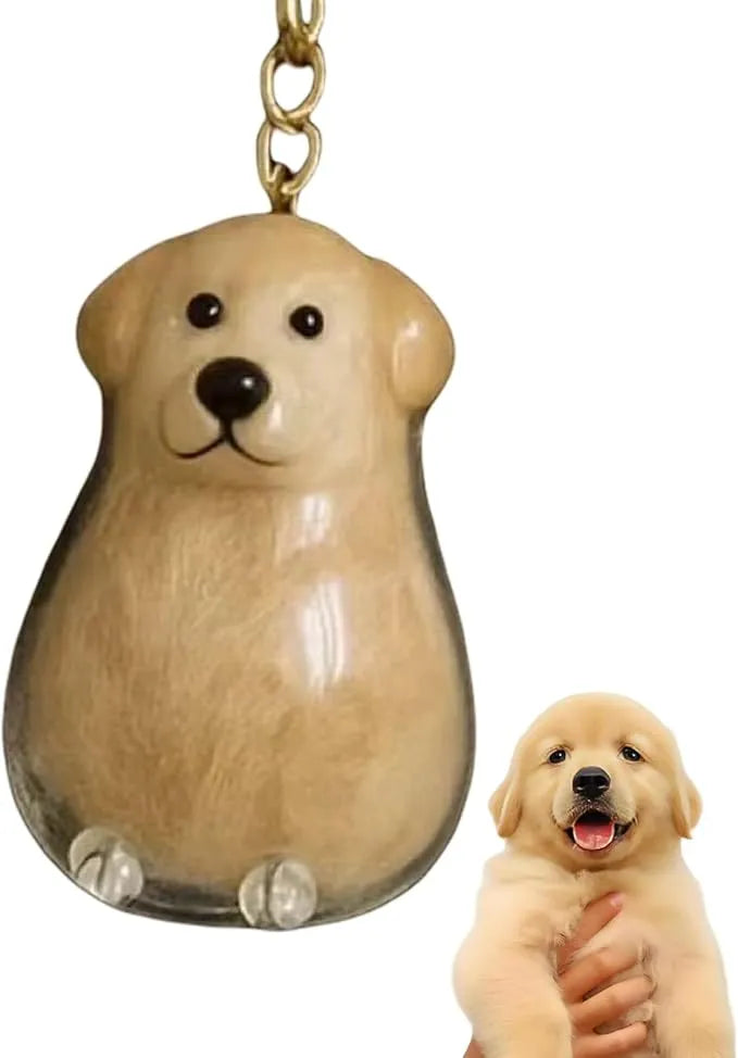 🐾Pet Hair Memorial Capsule Keychain