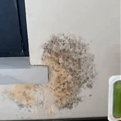 From Mold-Stained To Spotless Corners