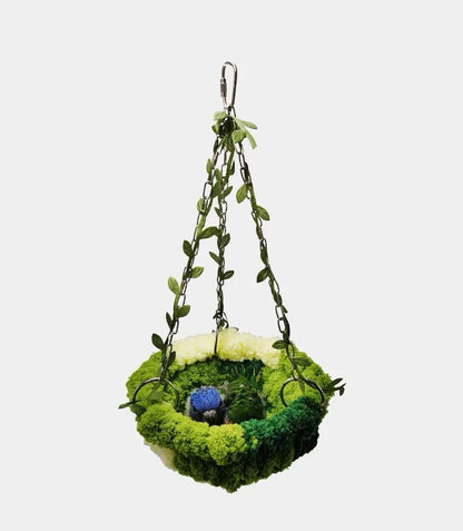 🌲Cozy Jungle Hammock Nest for Birds