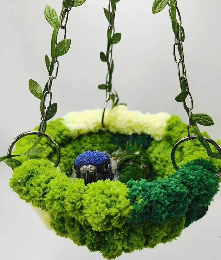 🌲Cozy Jungle Hammock Nest for Birds