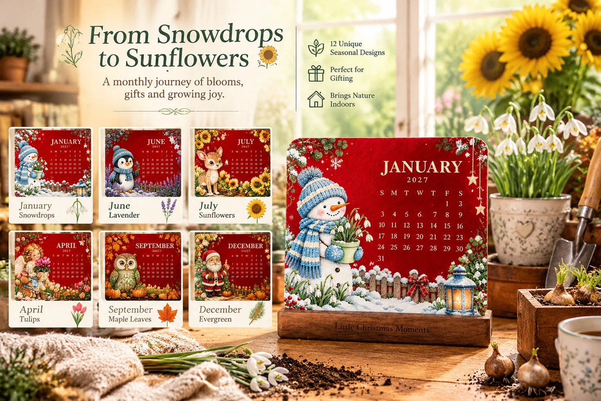 🎄🗓️ Last Day 49% OFF — 🪴✨ Eco-Friendly Plantable “Timeless” Seed Calendar 2027