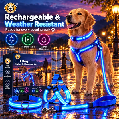 🐾 LED Light-Up Dog Harness & Leash Set – High-Visibility Gear for Night Walks 🌙