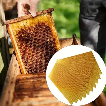 🍯🕯️ DIY Beeswax Candle Making Kit (12-Piece Set) – Create Your Own Cozy Glow!