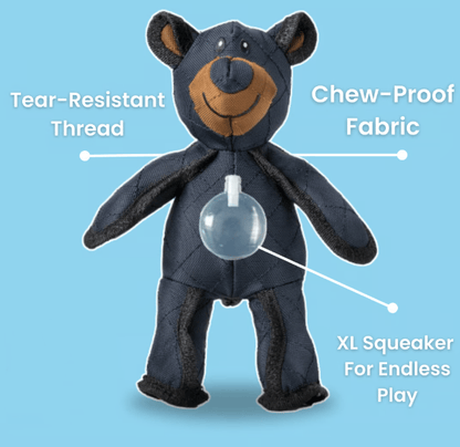 New bear for small dogs that like to chew🐾
