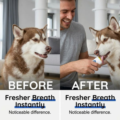 🐶Last Day 50% OFF - No-Brush Dog Dental Gel