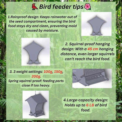 🔥Last Day 49% OFF -Squirrel Proof Bird Feeders for Outdoors