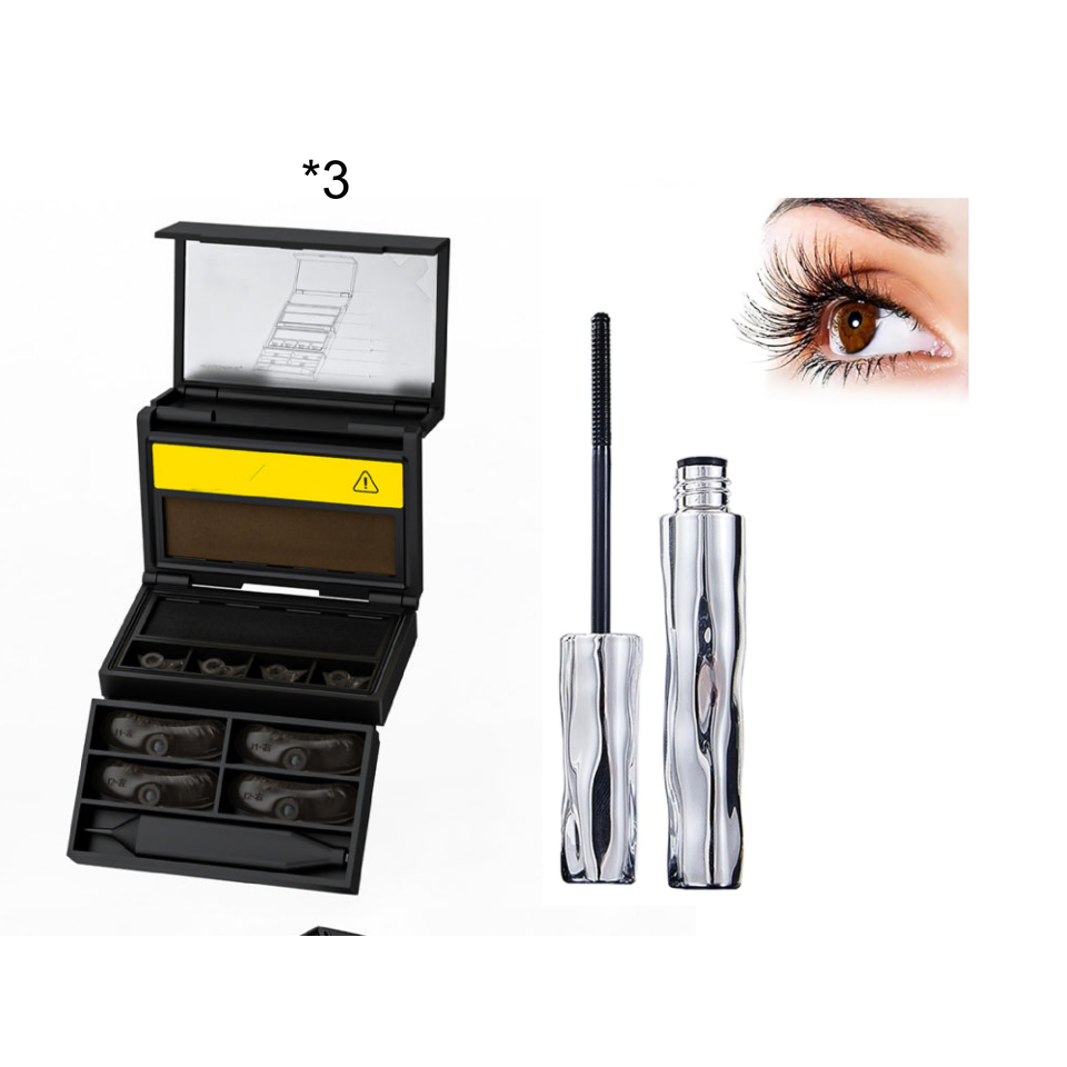 🔥2026 New Arrival🔥3-in-1 Eyeliner and Lower Lash Stamp Kit