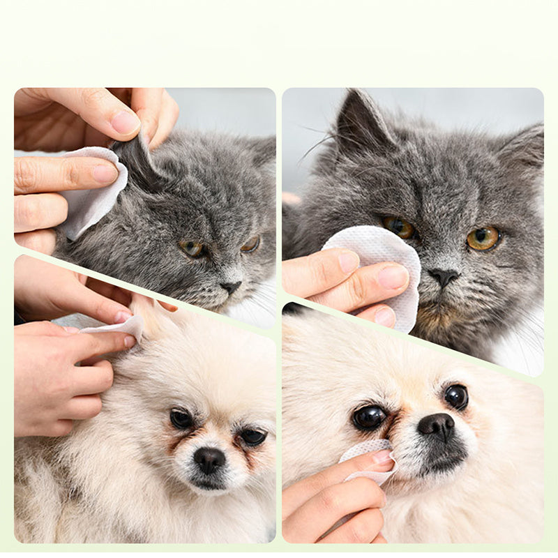 🥳2026 HOT SALE🥳💞50K+ SOLD!🐾🌿 50% OFF! Natural Plant‑Based Pet Wipes – Aloe vera & glycerin, pH‑balanced. Gently removes tear stains & earwax. Safe for daily use! 🧻✨